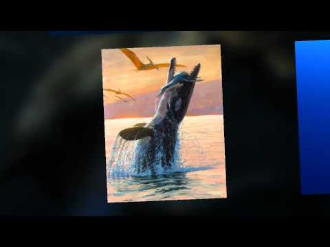 Mosasaur Tribute video