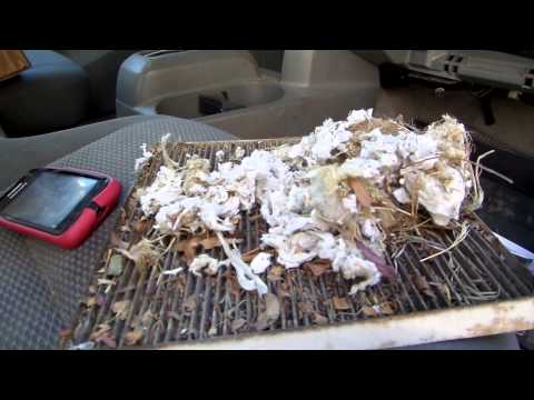 Poor circulation of my 2007 Toyota Tacoma ac heater blower motor