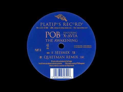 Pob ft. X-Avia - The Awakening (Quietman Remix)