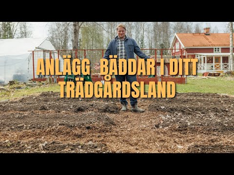 Från ogräs till överflöd: Så fixar du ett perfekt trädgårdsland