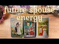 Your Future Spouse Marriage Energy Pick A Card Timeless Tarot Reading Detailed