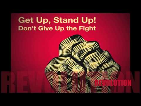 REVOLUTION - PROFESSOR SKANK