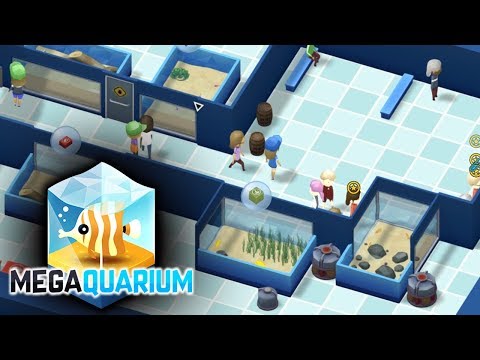Keeping Eels! - Megaquarium - Part 2