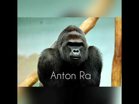 Anton Ra - Congo #EDM