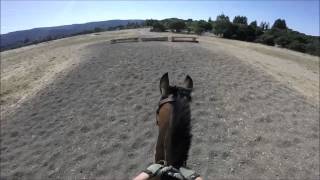 Ride With Me - Beginner Novice Course at Woodside Horse Park - OTTB- GOPRO Hero