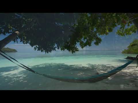 4K HDR Tropical Beach   Gentle Ocean Wave Sounds   Peaceful Wild Island   Relaxing Nature Video