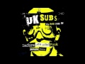 U.K. Subs -- Lost Not Found