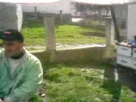 sretna porodica salihovic