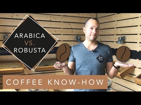 Arabica oder Robusta Kaffee– Was sind die Unterschiede? | CUP&CINO