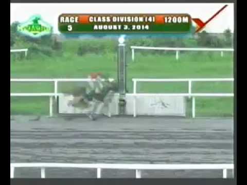 PRCI 080314 R05 3 MARINX (A)