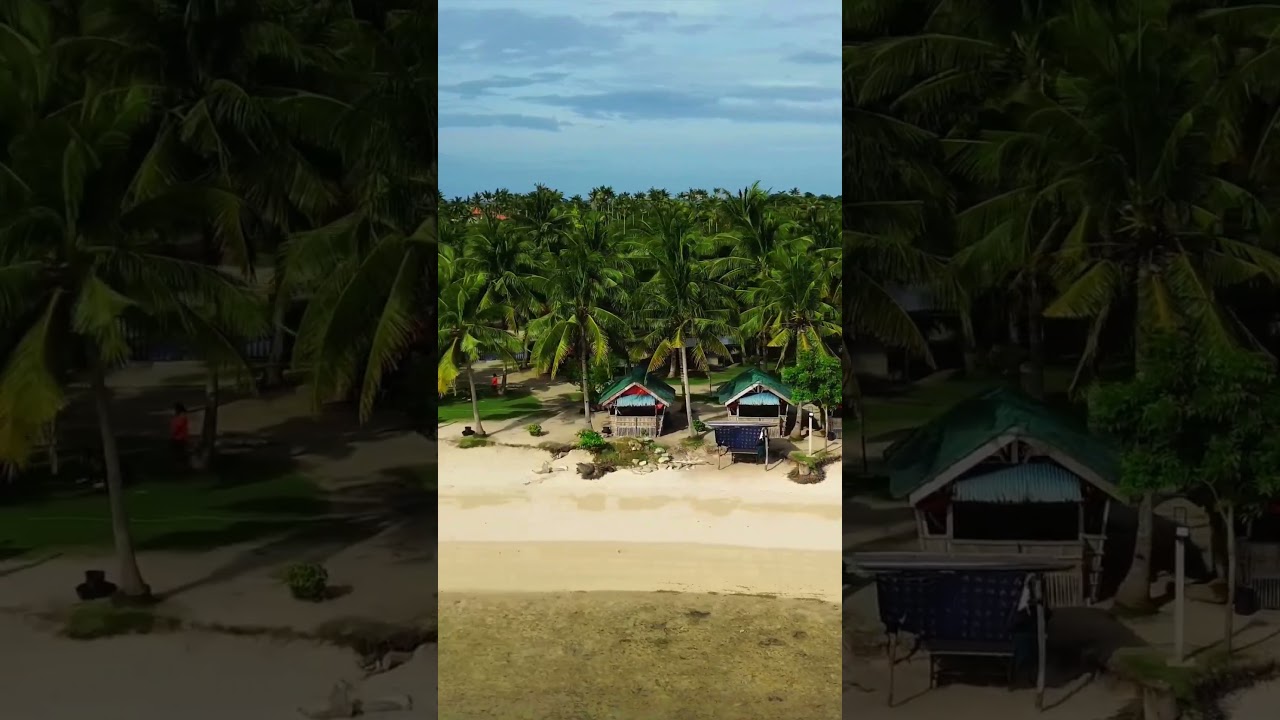 YouTube Short thumbnail