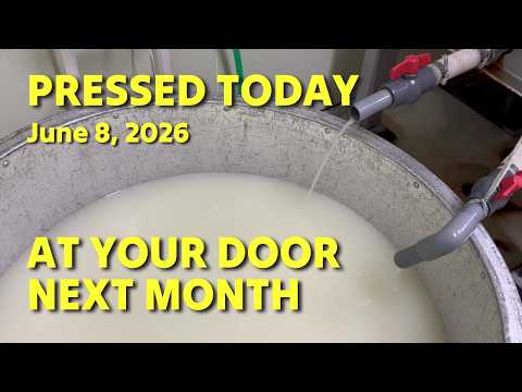 6/6/26: Your sake pressed now