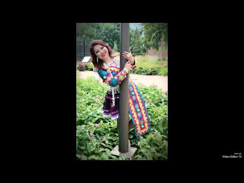 koj yuav xaiv tus zoo li cas