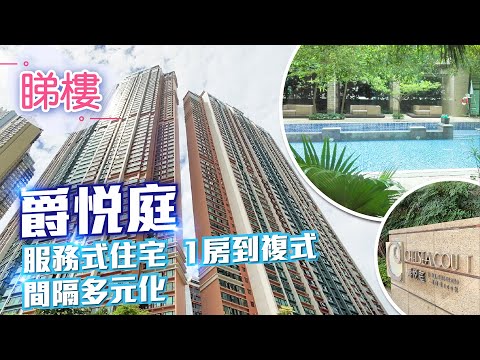 Chelsea Court Youtube Video