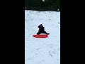 Jimmys face plant 🤣