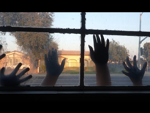 How Much Longer ?  Dir. M.W. Wolf (2025)