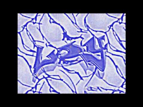 Dj LoY - Session 2006