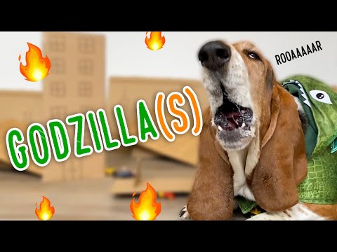 GODZILLA bassets! 🔥