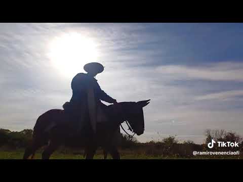 Ramiro Venencia, 1° de Julio El Galpón Salta.