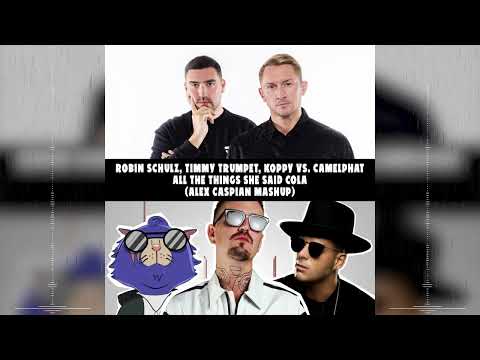 Robin Schulz, Timmy Trumpet, KOPPY vs. Camelphat - All The Things She Said Cola Alex Caspian Mashup
