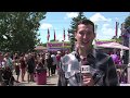 Stampede History Story