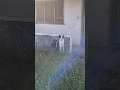 Un pueblo convertido en una galeria de arte.  parte 5