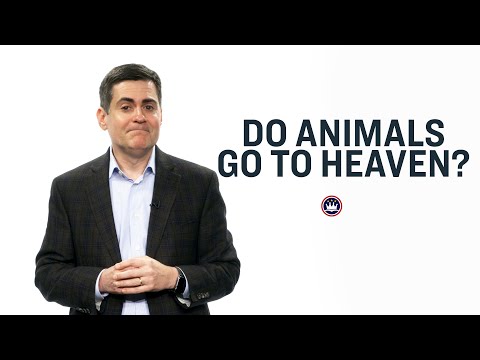 Do Animals Go to Heaven? - YouTube