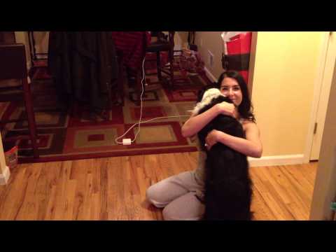 Sona, the dog that hugs on command!