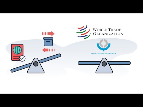 Customs 101 - How Do Customs Agencies Vary Internationally