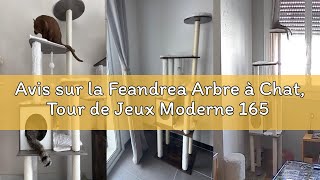Avis sur la Feandrea Arbre à Chat, Tour de Jeux Moderne 165 cm, avec 9 Griffoirs, Coussins Lavables