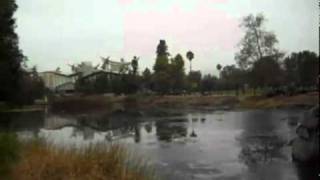 preview picture of video 'La Brea Tar Pits, Los Angeles, CA.-Vic´s Cali 2010 Tour Day 14'