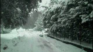 كلمات اغنية حن محمد عبد الوهاب