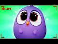 LIVE Angry Birds Fun Times With The Flock