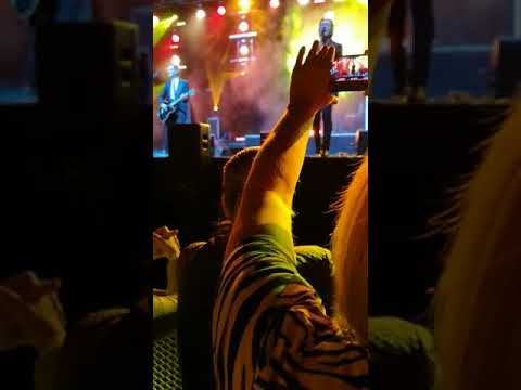 Ivo Fomins ,, Muzikants "