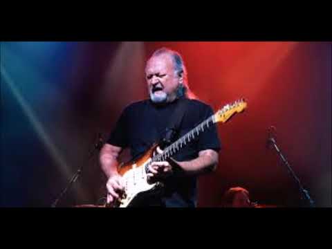 TINSLEY ELLIS-Everything And Everyone
