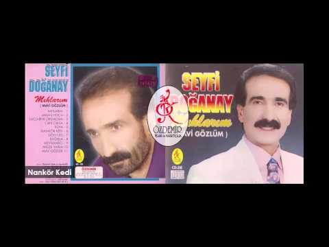 Nankör Kedi | Seyfi Doğanay