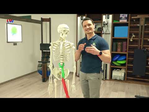 Kamenz: Gesundheitsmagazin - Die Körperstatik - mit Tobias Jantsch - LAUSITZWELLE