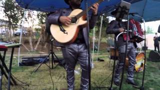 Los Austeros De Durango 2015 - La Bandera