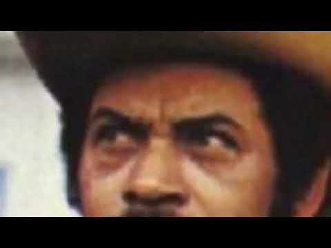 MEU PAGODE - ADÃO DA VIOLA E JOÃO MIRANDA