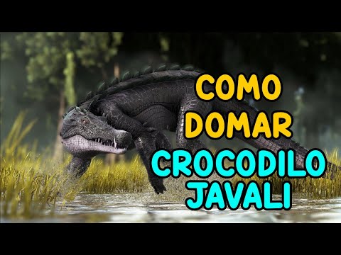 Como Domar Crocodilo-javali Ark Survival Evolved