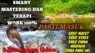 Download lagu Masteran srdc biar cepat bunyi Dan wikplong dan masteran srdc non-stop full isian 3jam tanpa iklan. mp3