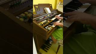 Sascha liebt nicht große Worte - #russia #traditional #organmusic #music