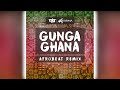 Ravi B X Dubraj Persad - Gunga Ghana [Afrobeat Remix] (2020)