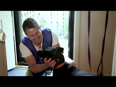 Doggy Detail video.