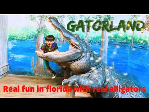 Gatorland Orlando - tour and activities | Family Activities in Orlando | Screaming Gator Zip line