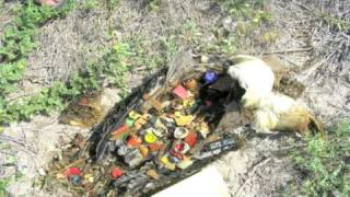 Captain Charles Moore on the seas of plastic