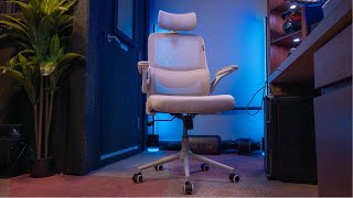 Your family will want to take your chair | Hbada P1 Ergonomic Office Chair Lumbar Support Review