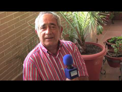 Quien es Patricia Sverlo