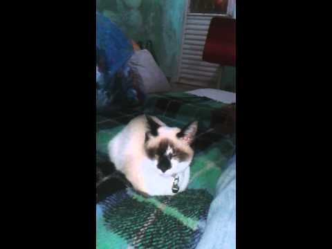 Cris Marie mimindo ♥