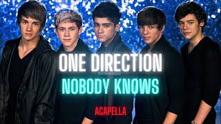 One Direction- Nobody Knows (Acapella/ Vocals Only) (X Factor Period)